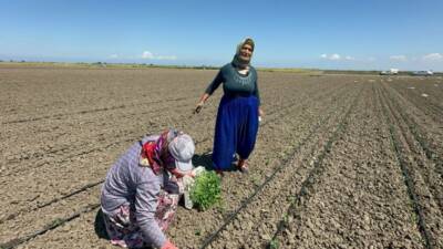 Balıkesir'de 10 yıl önce belinden ameliyat olan 70 yaşındaki tarım