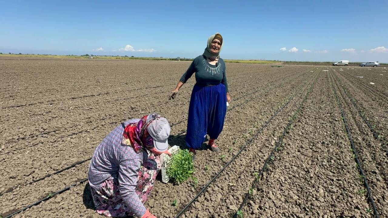 Balıkesir'de 10 yıl önce belinden ameliyat olan 70 yaşındaki tarım