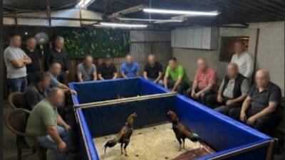 İzmir’in Aliağa ilçesinde polis ekiplerince horoz dövüşü organize edildiği belirlenen