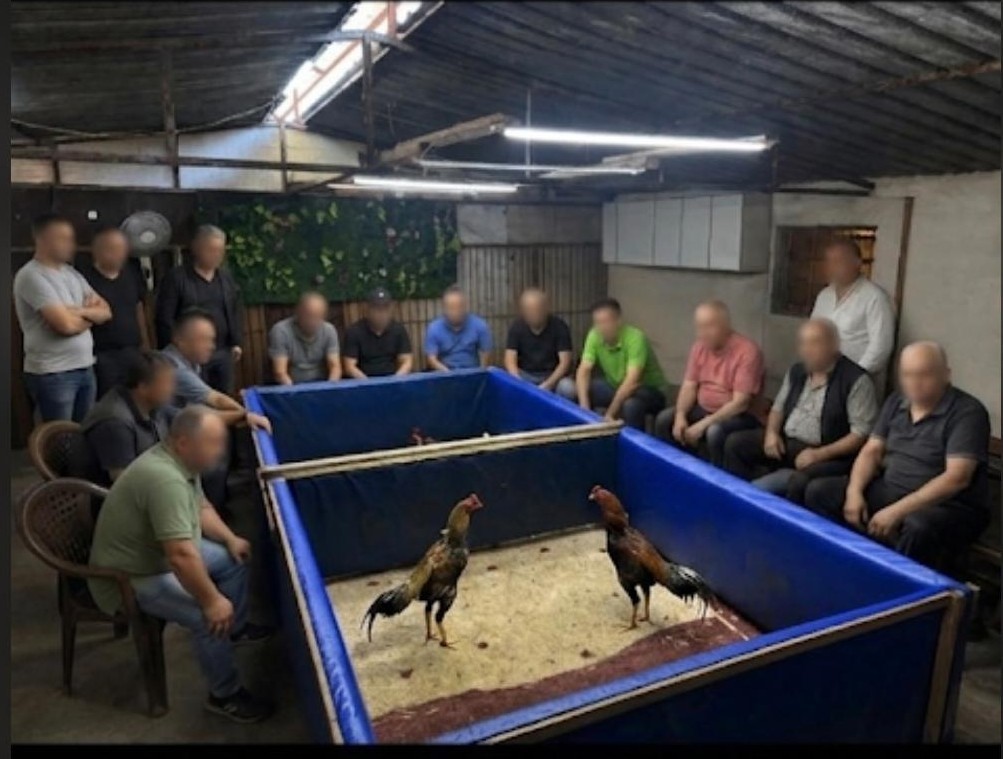İzmir’in Aliağa ilçesinde polis ekiplerince horoz dövüşü organize edildiği belirlenen