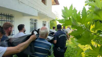 Sakarya’nın Akyazı ilçesinde ıhlamur toplamak için merdivenle ağaca çıkan 68