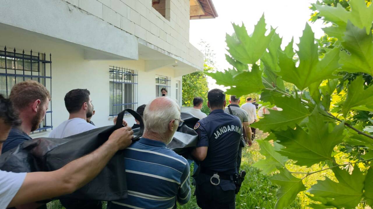 Sakarya’nın Akyazı ilçesinde ıhlamur toplamak için merdivenle ağaca çıkan 68