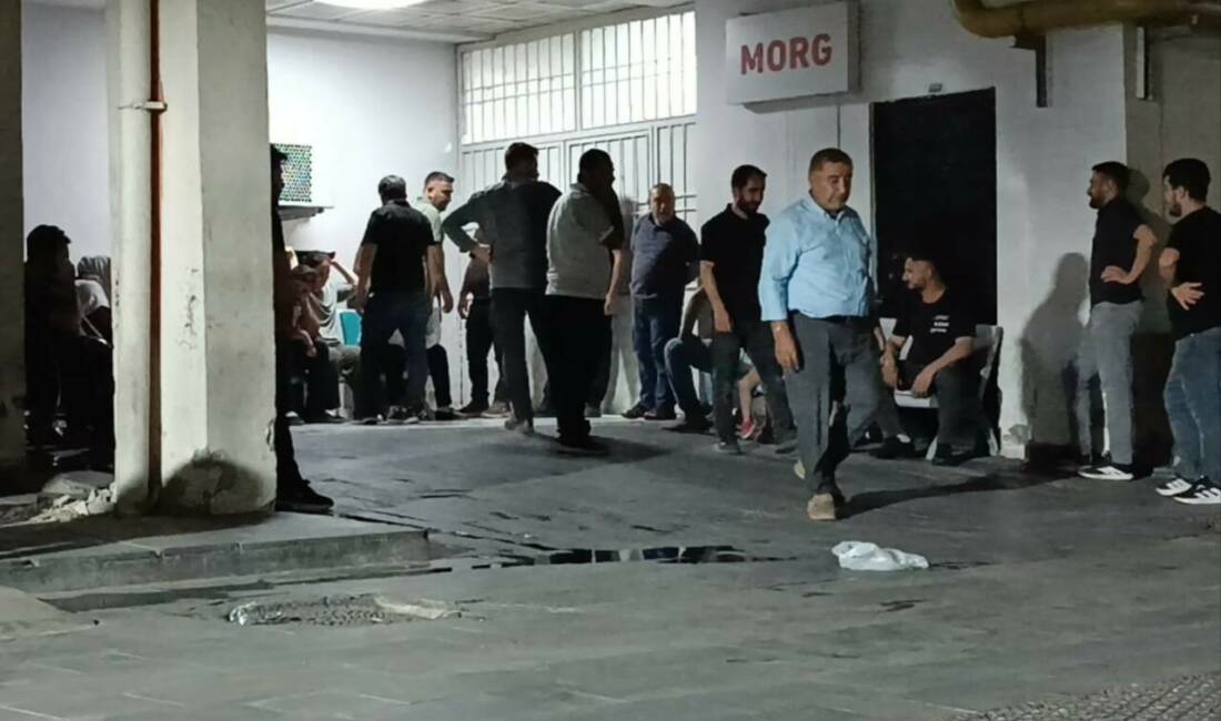 Batman'da seyir halindeki otomobilin camından