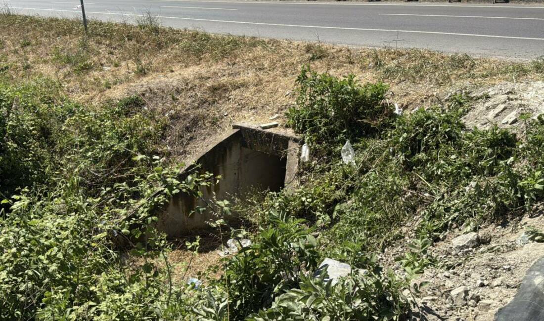 Sakarya'da kontrolden çıkarak menfeze düşen otomobilde anne ile kızı hayatını