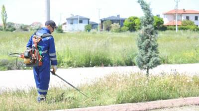 Aksaray Belediyesi ekipleri, Dinç Caddesi’nde başlattığı peyzaj çalışmalarıyla kentin estetik