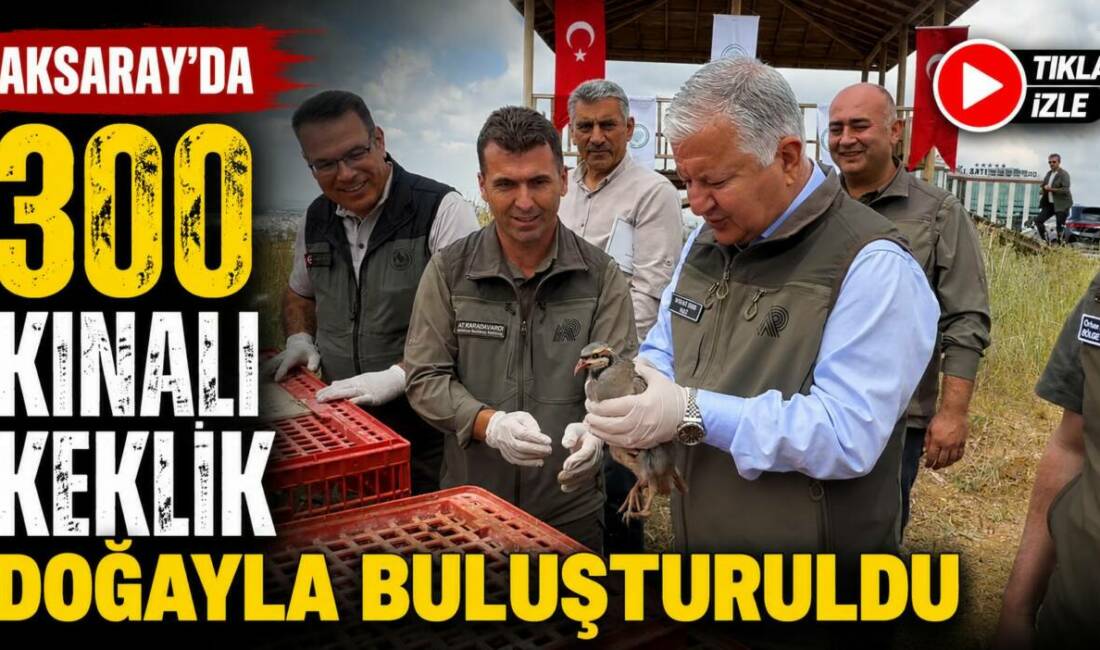 Aksaray’da 300 Kınalı Keklik Doğayla Buluşturuldu Aksaray’da Doğa Koruma ve Milli Parklar Genel Müdürlüğü tarafından yürütülen