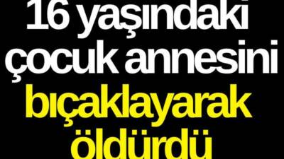 Adana'nın Saimbeyli ilçesinde 16 yaşındaki kız çocuğu, annesini evde bıçaklayarak
