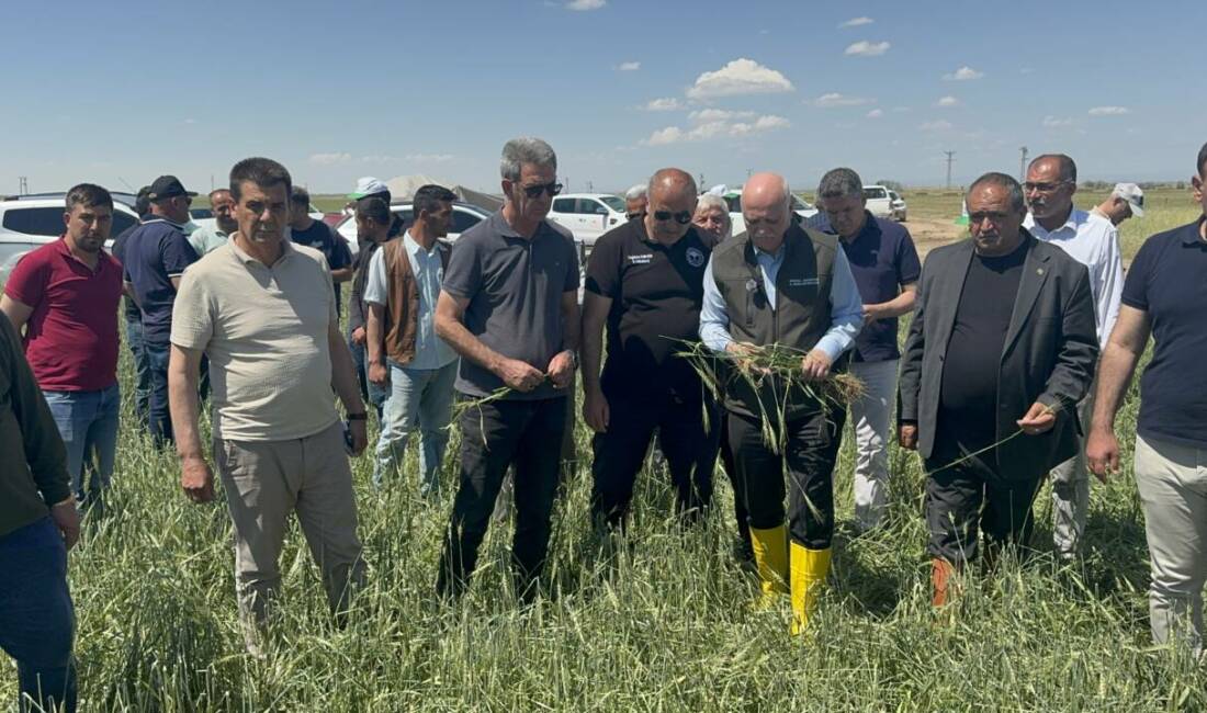 TZOB Genel Başkanı Şemsi Bayraktar,