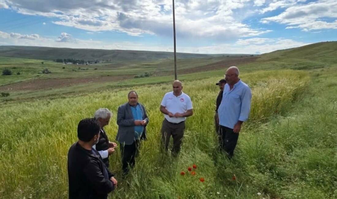 Fatmauşağı ve Borucu köylerinde afet mesaisi: Tarım arazilerindeki zarar yerinde incelendi Aksaray'da etkili olan su taşkını ve dolu yağışının ardından Fatmauşağı