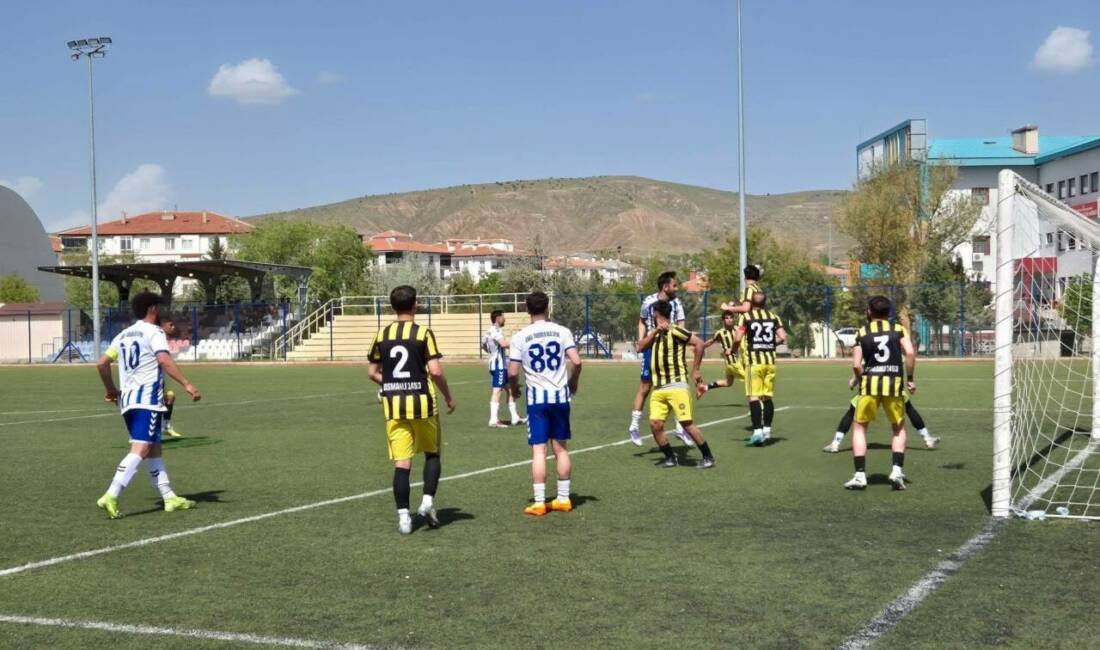 TFF’nin yeni düzenlemesiyle altyapı ve antrenör kriterlerini karşılamayan kulüpler amatör