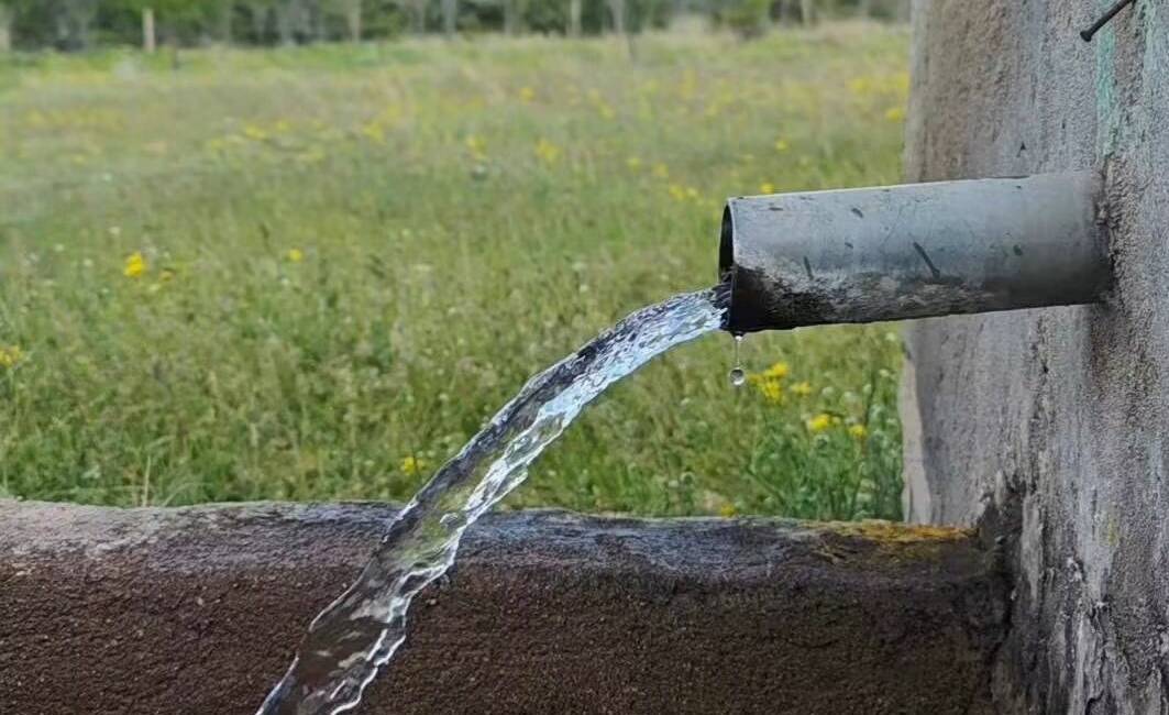 Aksaray’ın Balcı Mahallesi’nde yayla hattından