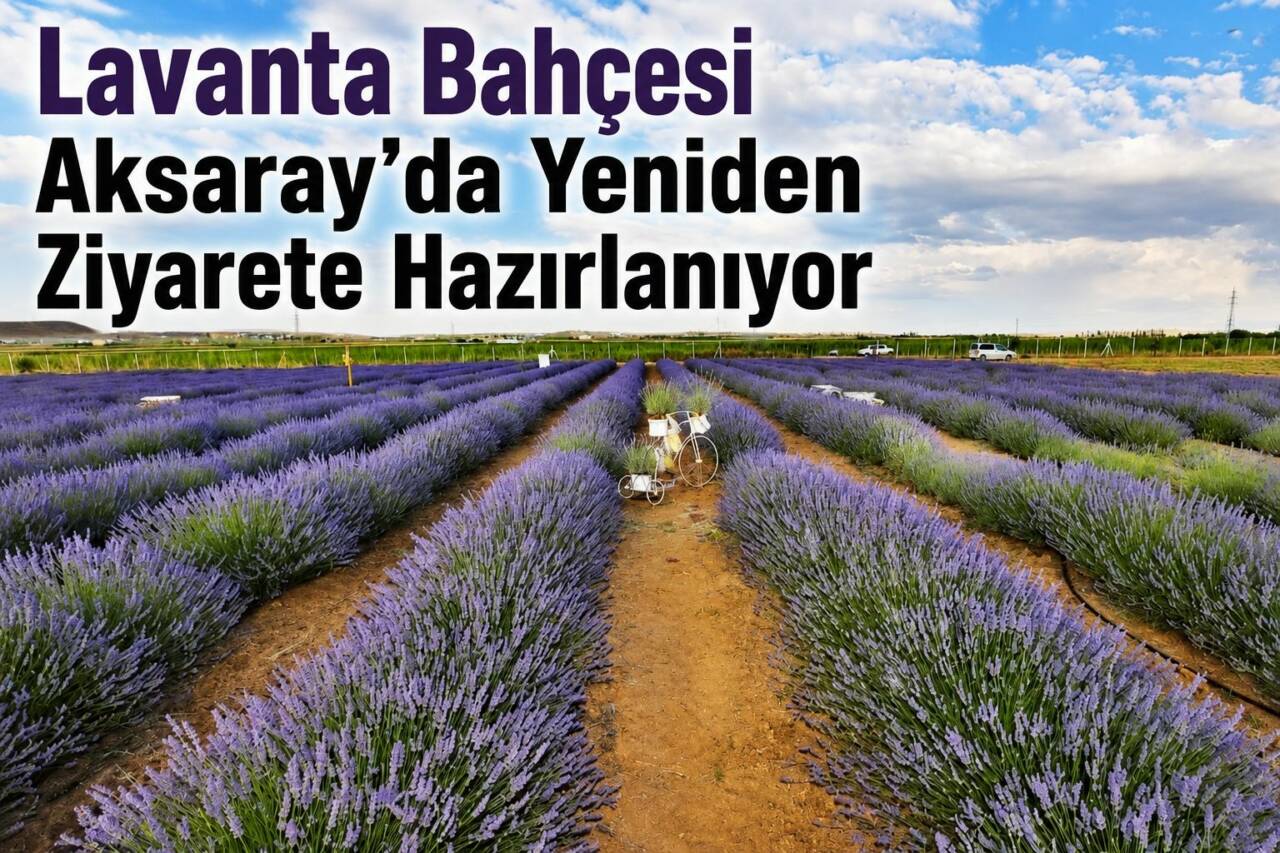 Aksaray Belediyesi, şehrin simge alanlarından biri haline gelen Lavanta Bahçesi