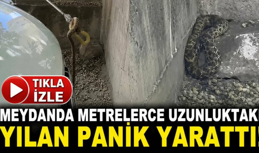 Meydanda metrelerce uzunluktaki yılan panik yarattı! Aksaray’ın en işlek noktalarından birinde ortaya çıkan metrelerce uzunluktaki yılan,