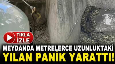 Aksaray’ın en işlek noktalarından birinde ortaya çıkan metrelerce uzunluktaki yılan,