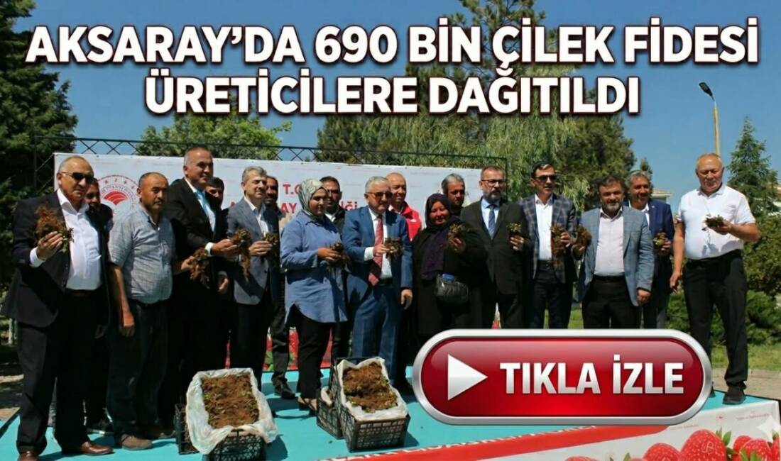 Aksaray’da 690 Bin Çilek Fidesi Üreticilere Dağıtıldı Aksaray’da organik tarımın geliştirilmesi ve çilek üretiminin yaygınlaştırılması amacıyla 41