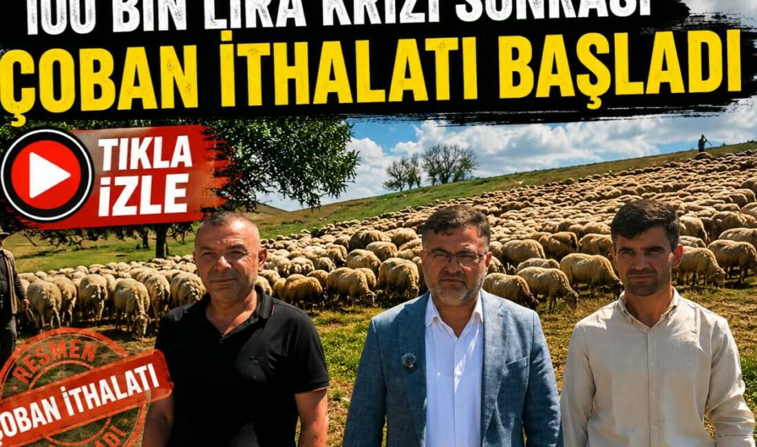 100 Bin Lira Krizi Sonrası Çoban İthalatı Başladı Aksaray’da çoban ücretlerinin 100 bin liraya kadar çıkması sonrası yurtdışından
