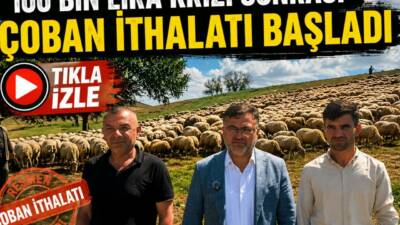 Aksaray’da çoban ücretlerinin 100 bin liraya kadar çıkması sonrası yurtdışından