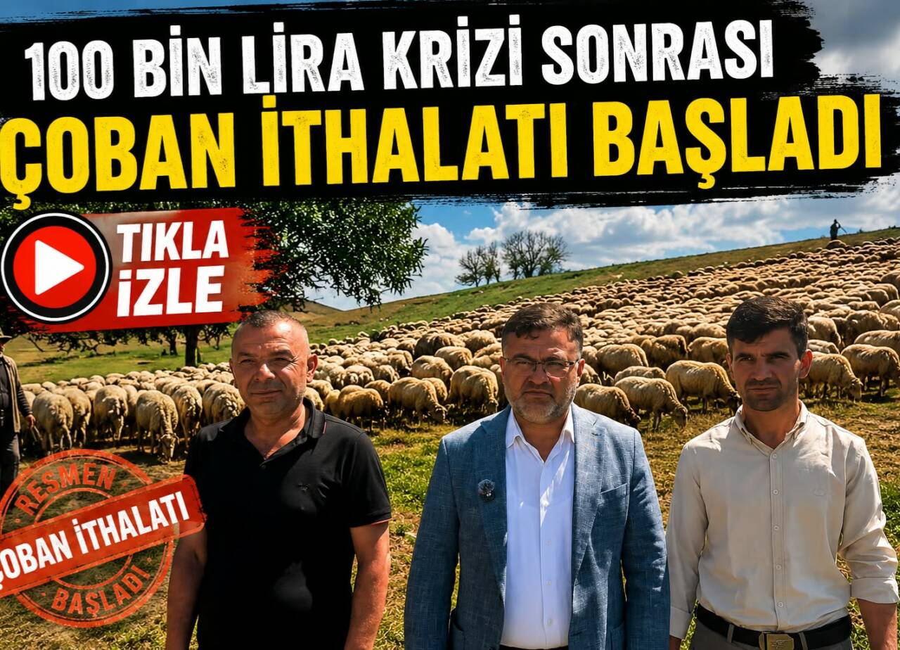 Aksaray’da çoban ücretlerinin 100 bin liraya kadar çıkması sonrası yurtdışından