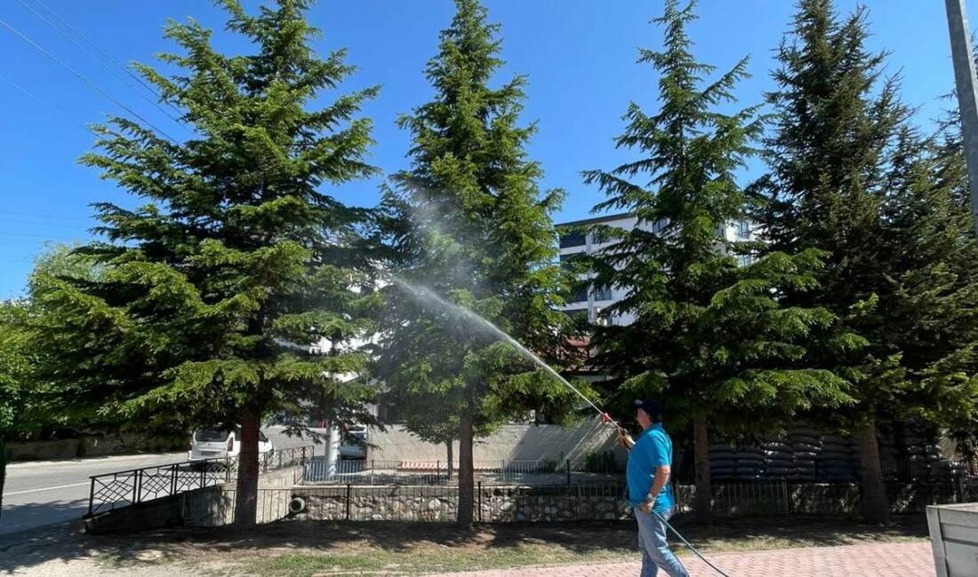 Ortaköy’de yaz öncesi ilaçlama seferberliği Ortaköy Belediyesi, yaz aylarında artış gösteren haşerelere karşı ilçe genelinde