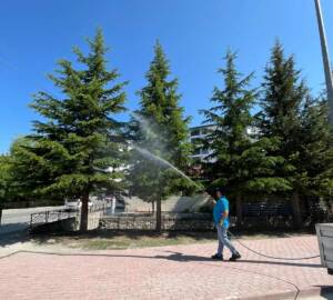 Ortaköy Belediyesi, yaz aylarında artış gösteren haşerelere karşı ilçe genelinde
