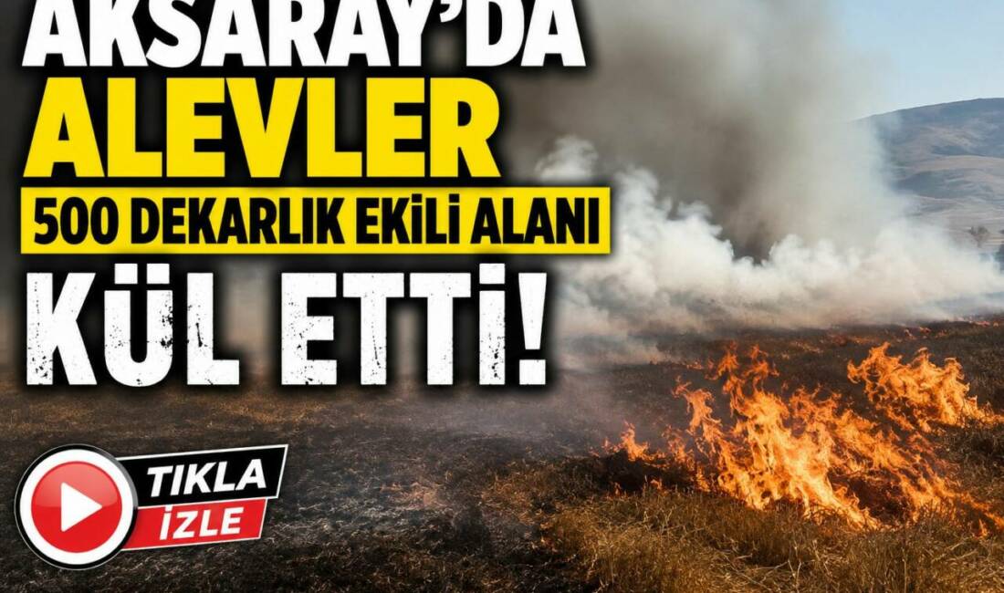 Aksaray’ın Ortaköy ilçesine bağlı Hacımahmutuşağı Köyü Çokyatan Yaylası’nda çıkan tarla