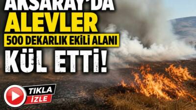 Aksaray’ın Ortaköy ilçesine bağlı Hacımahmutuşağı Köyü Çokyatan Yaylası’nda çıkan tarla