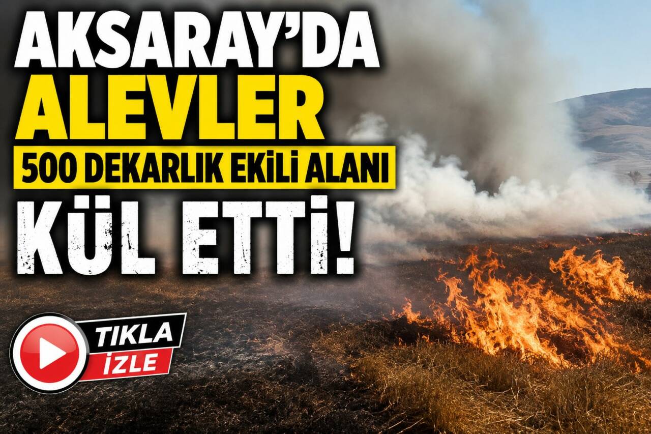 Aksaray’ın Ortaköy ilçesine bağlı Hacımahmutuşağı Köyü Çokyatan Yaylası’nda çıkan tarla
