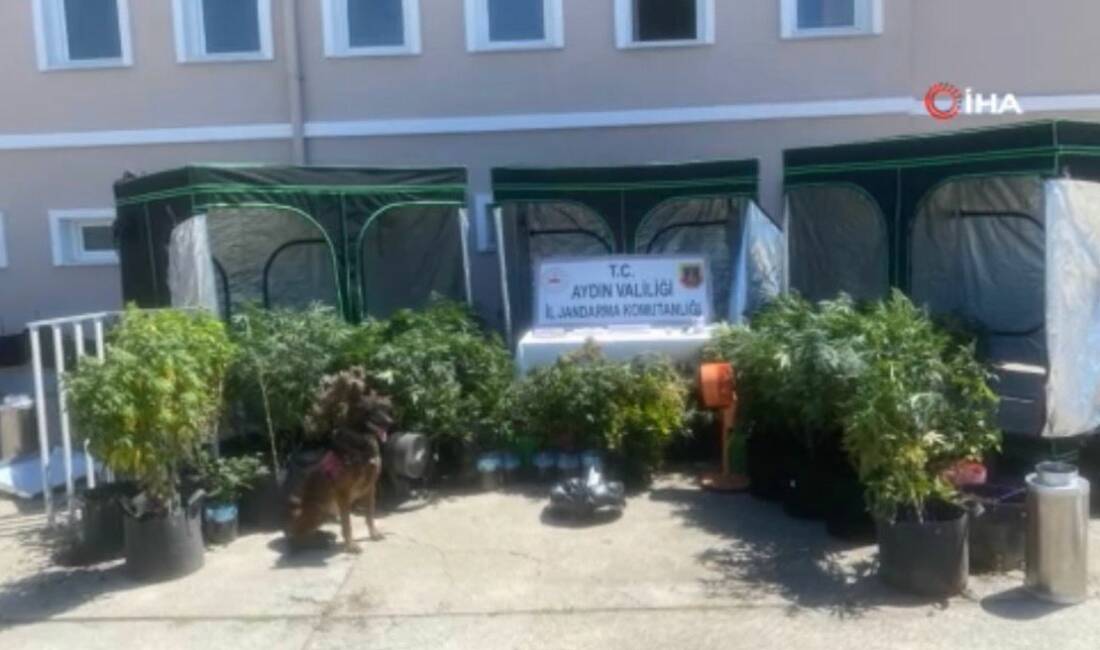  Jandarma Genel Komutanlığınca, uyuşturucu madde satıcılarına yönelik 45 ilde düzenlenen
