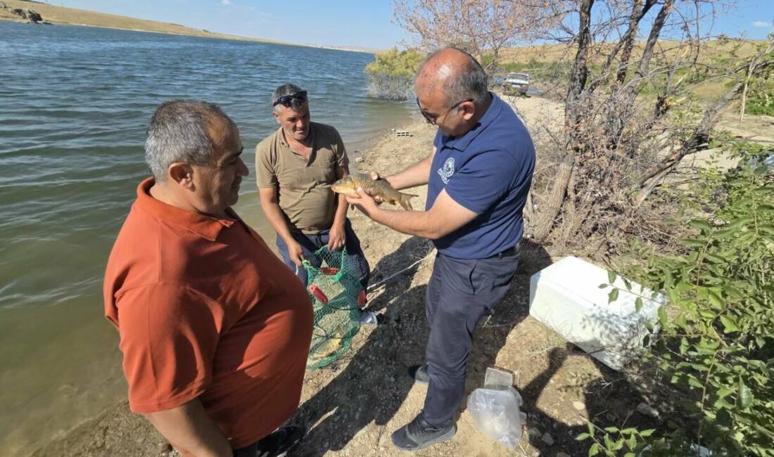Aksaray İl Tarım ve Orman