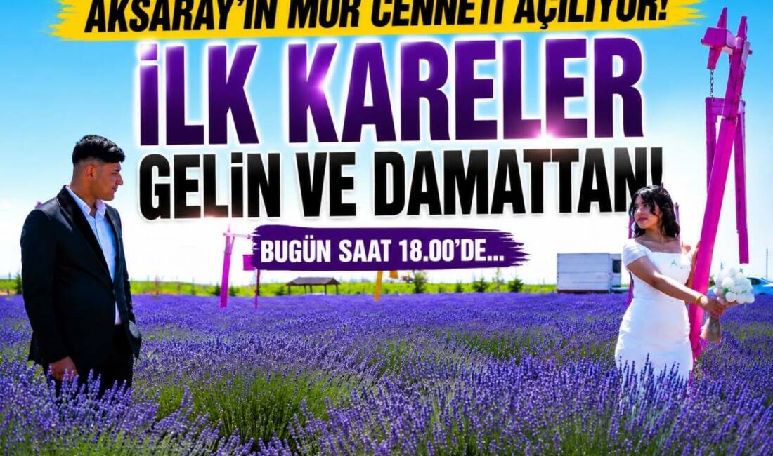 Aksaray Belediyesi Lavanta Bahçesi bugün saat 18.00’de düzenlenecek programla kapılarını