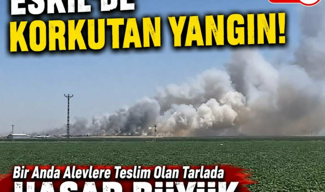 Eskil’de Korkutan Yangın! Bir Anda Alevlere Teslim Olan Tarlada Hasar Büyük Aksaray’ın Eskil ilçesine bağlı Bozoğlan Yaylası’nda çıkan ekin yangını, rüzgarın