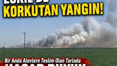 Aksaray’ın Eskil ilçesine bağlı Bozoğlan Yaylası’nda çıkan ekin yangını, rüzgarın