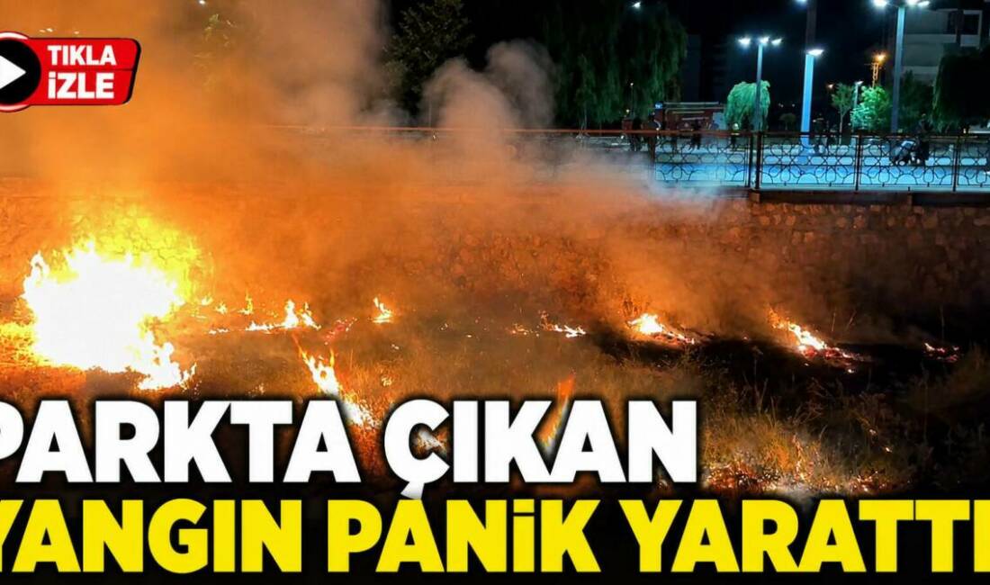 Aksaray’da parkta çıkan yangın panik yarattı! Aksaray’ın Tacin Mahallesi’nde, Recep Tayyip Erdoğan Parkı Bilim Merkezi arkasında