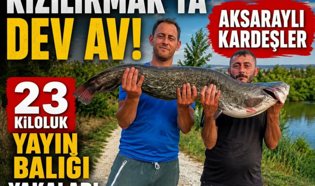 Kızılırmak’ta Dev Av! Aksaraylı Kardeşler 23 Kiloluk Yayın Balığı Yakaladı Aksaray’ın Ortaköy ilçesine bağlı Balcı Mahallesi’nden İsmail ve Mustafa Şahin