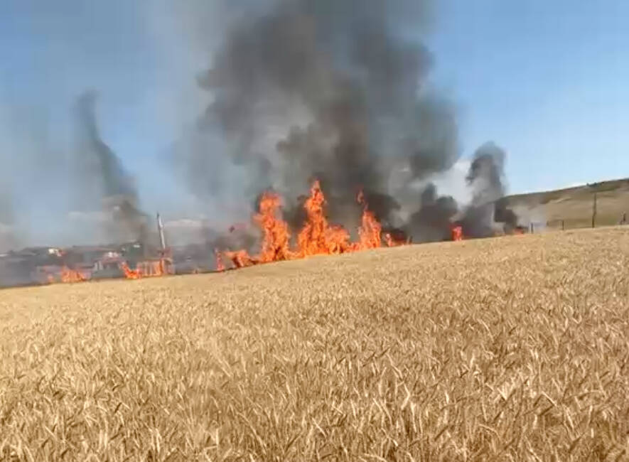 Buğday ekili alan yangında zarar gördü Yozgat'ın Yerköy ilçesinde buğday ekili alanda çıkan yangın söndürüldü.