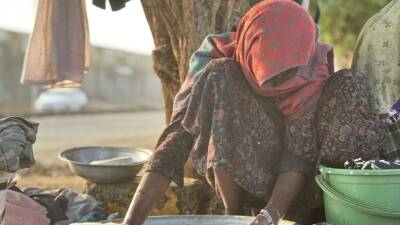 Dünya Sağlık Örgütü (DSÖ) Sudan Temsilcisi Shible Sahbani, "Sudan, 33