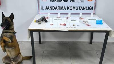 Eskişehir'in Odunpazarı ilçesinde jandarma ekiplerince düzenlenen operasyonda gözaltına alınan 2