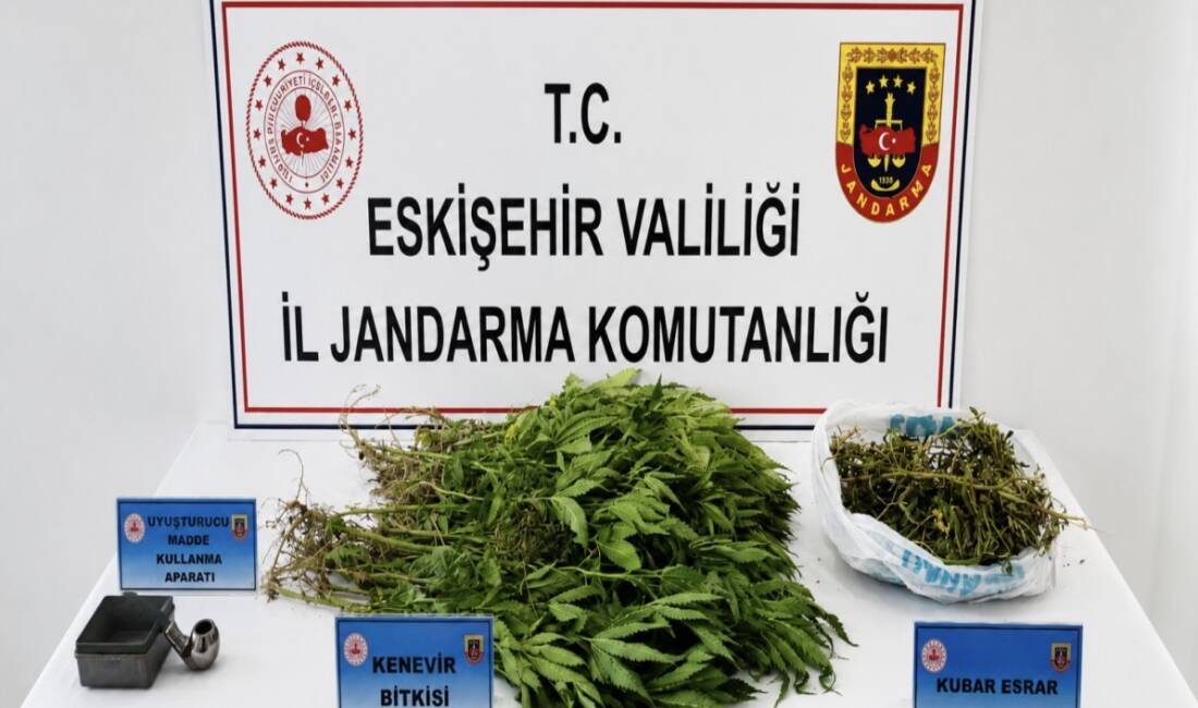 Eskişehir'in Sivrihisar ilçesinde düzenlenen uyuşturucu operasyonunda gözaltına alınan şüpheli tutuklandı.