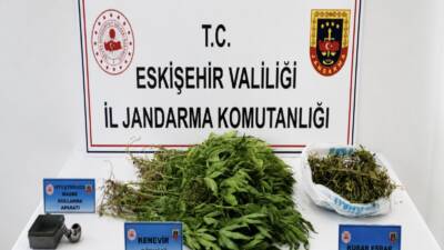 Eskişehir'in Sivrihisar ilçesinde düzenlenen uyuşturucu operasyonunda gözaltına alınan şüpheli tutuklandı.