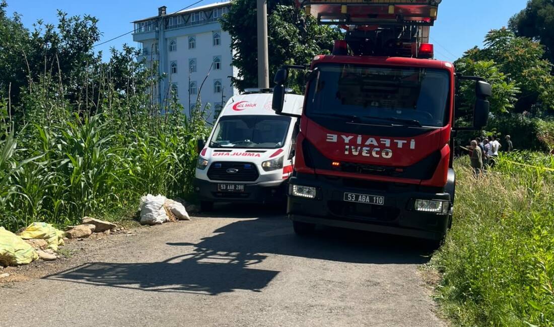 Ihlamur toplarken elektrik akımına kapıldı! Rize'de ıhlamur toplarken kestiği dalın elektrik direğine temas etmesi soncusu