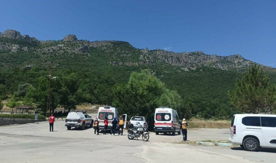 Konya'nın Seydişehir ilçesinde, hayvanlarını otlatmak