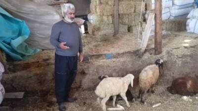 Erzurum'un Palandöken ilçesine bağlı Yunusemre Mahallesi'nde bulunan Cenk Küme Evleri'nde