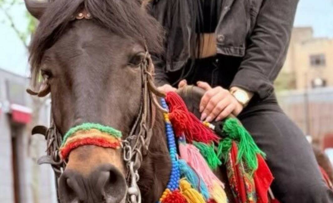 Başından silahla vurulan kadının eşi hakim karşısında neler söyledi? Antalya'da 24 yaşındaki genç kadının başından silahla vurularak hayatını kaybetmesine