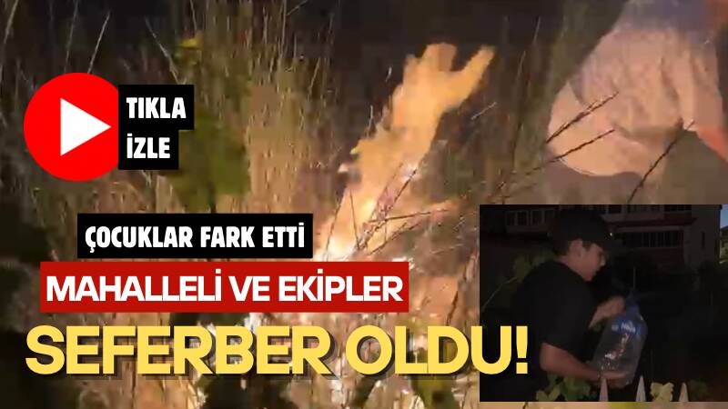 Yunus Emre Mahallesi’nde kanal boyunda evlere yaklaşan kuru ot yangını,