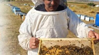 Aksaray İl Tarım ve Orman Müdürlüğü ekipleri, il genelinde arılı