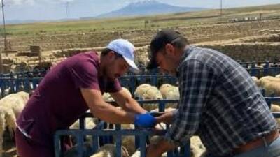Aksaray İl Tarım ve Orman Müdürlüğü, hayvan sağlığının korunması ve