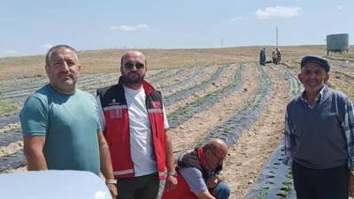 Aksaray İl Tarım ve Orman Müdürlüğü, Organik Çilek Yetiştiriciliğini Yaygınlaştırma