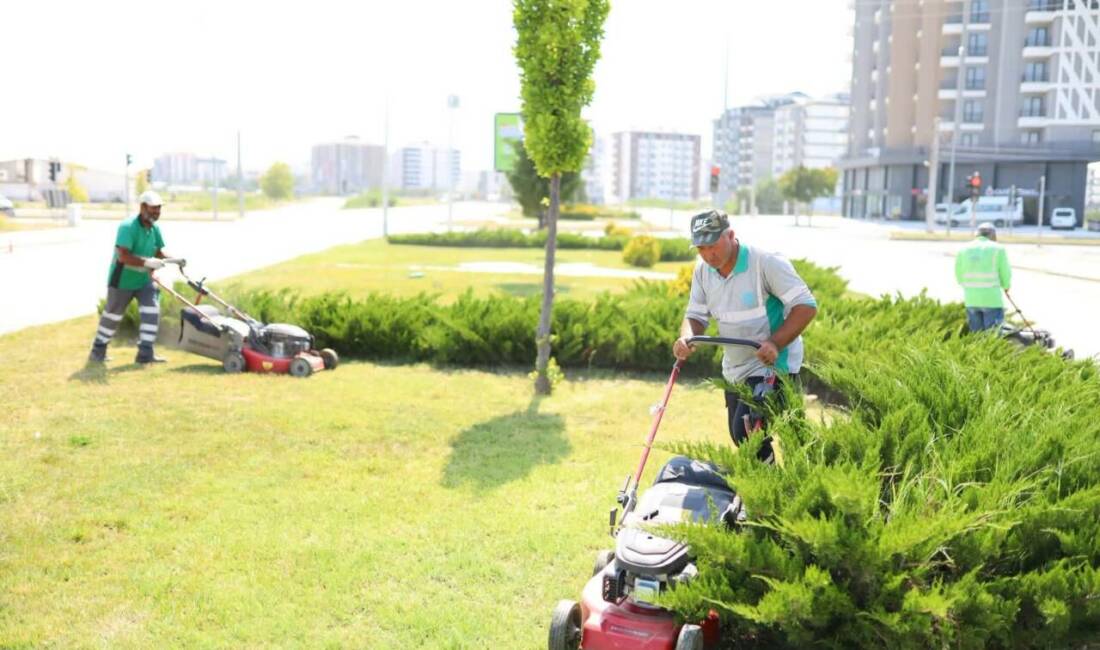 Aksaray’da orta refüjler yaz ayı için yeniden düzenleniyor Aksaray Belediyesi, kent estetiğini korumak ve daha yaşanabilir bir çevre