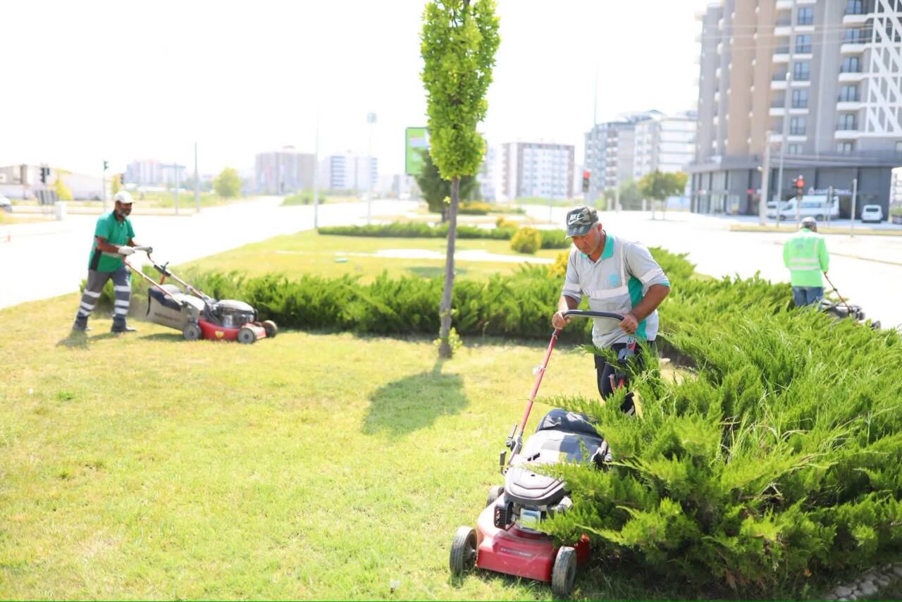 Aksaray Belediyesi, kent estetiğini korumak ve daha yaşanabilir bir çevre