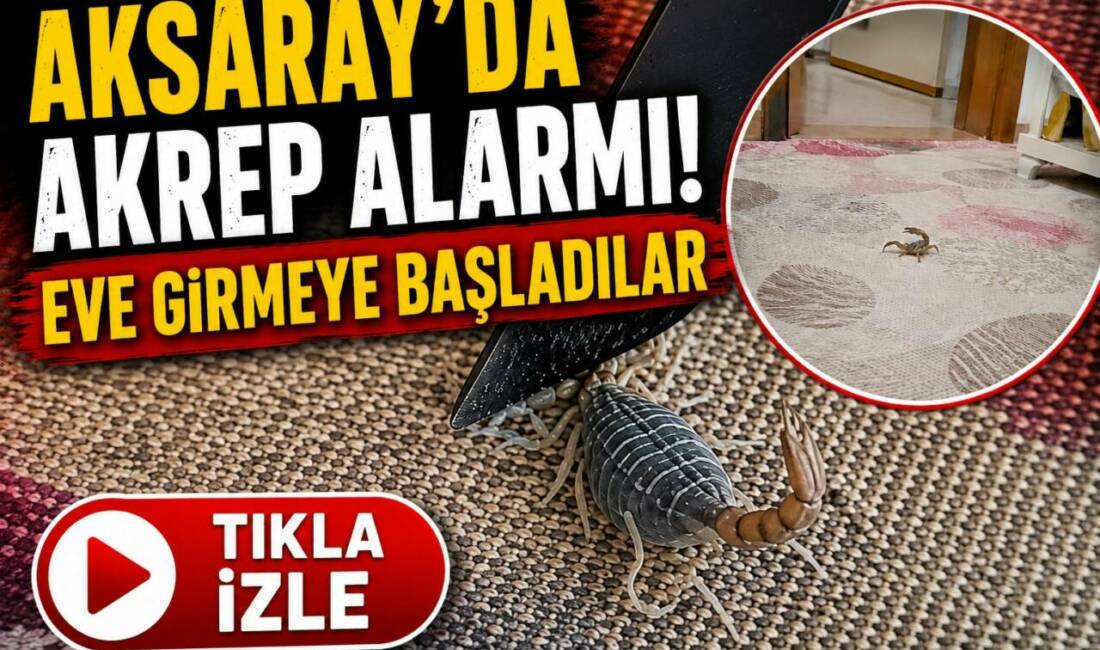 Aksaray’ın Gençosman köyünde müstakil bir eve giren akrep, ev halkını